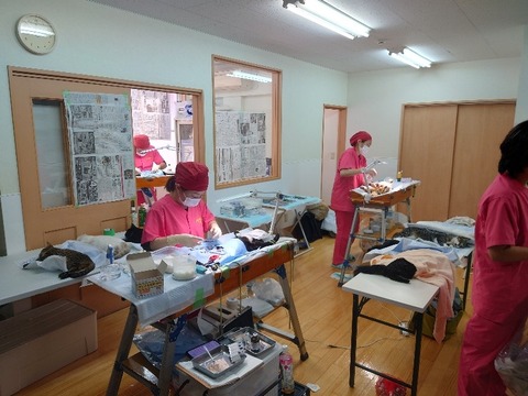 20231116_115330_copy_800x600