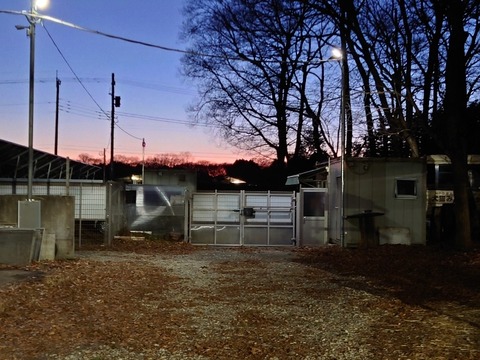 20221223_170628_copy_800x600