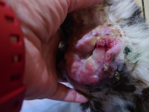 20230223_182751_copy_800x600