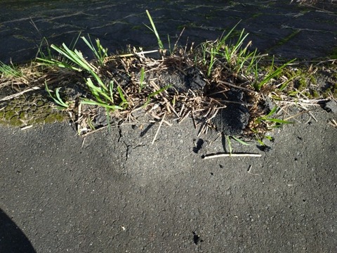 20251023_092905_copy_800x600