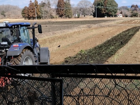 20260213_124627_copy_800x600