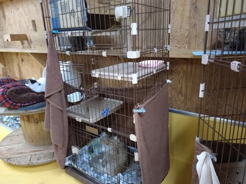 20251011_174505_copy_800x600