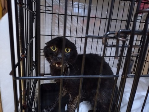 20251208_080151_copy_800x600