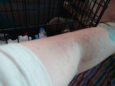 DSC_0025_copy_800x600