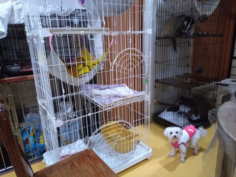 20260130_081101_copy_800x600