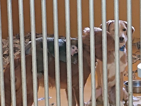 DSC_6499_copy_800x600