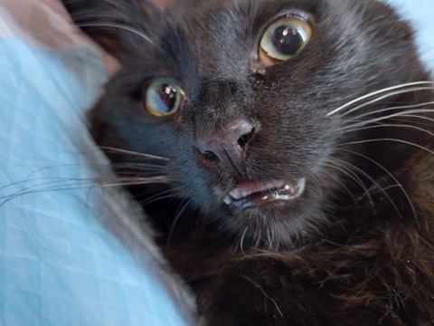 20250223_151820_copy_800x600