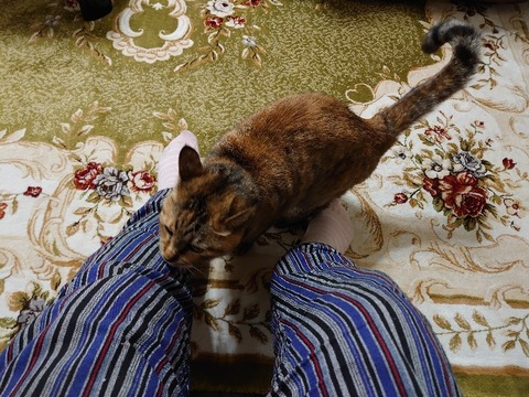 DSC_5649_copy_800x600