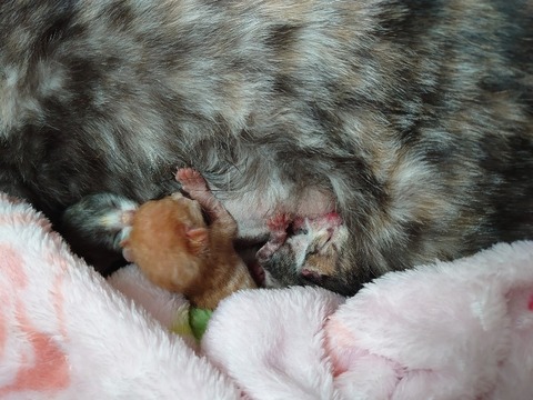 DSC_5965_copy_800x600