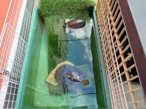 20230820_174613_copy_800x600