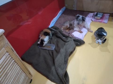 20260221_083716_copy_800x600