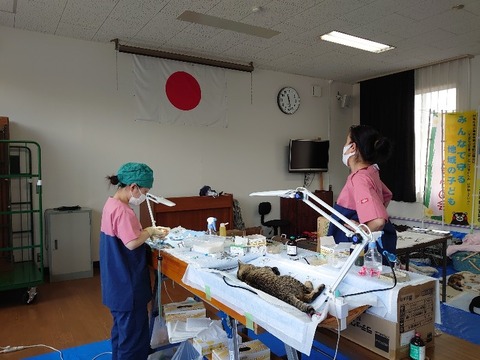 DSC_1706_copy_800x600