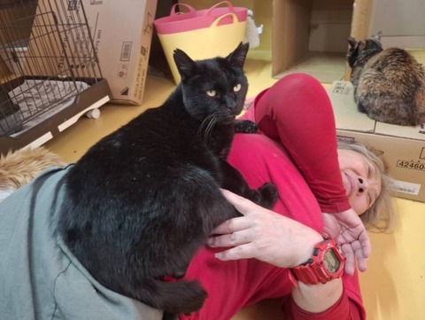 1768035996743_copy_738x554_copy_800x601