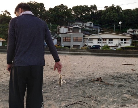 DSC_0650_copy_2307x1803_copy_800x625