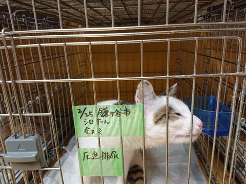 DSC_5748_copy_800x600