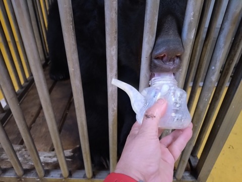 20251231_071817_copy_800x600