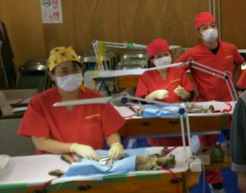 PhotoPictureResizer_200127_114547428_crop_641x505