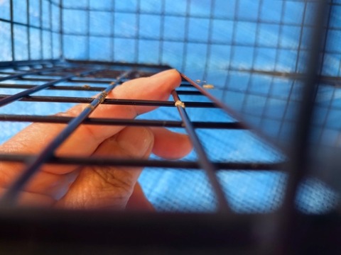 20260823_115959_copy_800x600