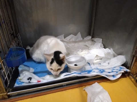 20251206_083414_copy_800x600