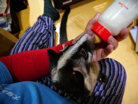 20230301_072219_copy_800x600