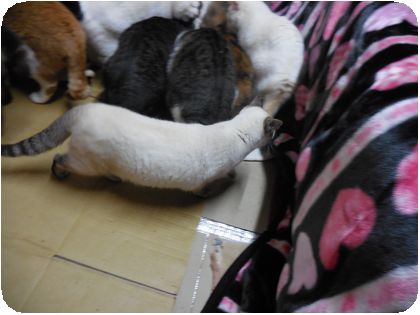DSCN3448