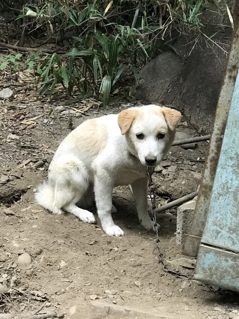 1531902708043-554x739