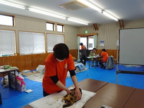 DSC_3386_copy_800x600