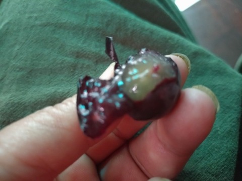 20251004_074001_copy_800x600