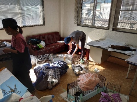 DSC_1235_copy_800x600