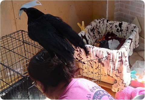 DSC_4414_copy_3038x2147