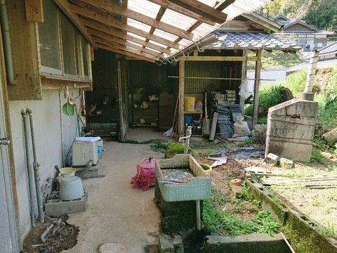 DSC_6327_copy_800x600