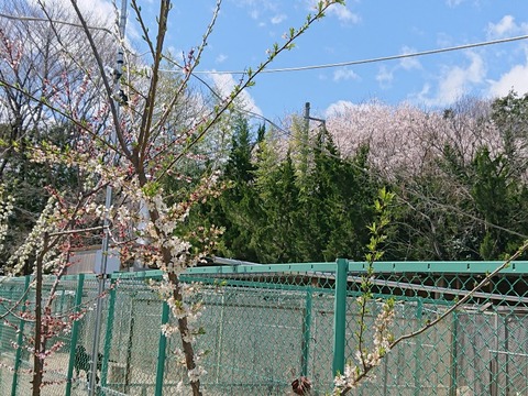 DSC_6458_copy_800x600