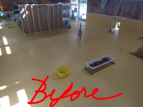 20251012_100343_copy_800x600~2