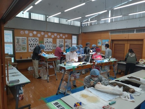 20251124_120726_copy_800x600