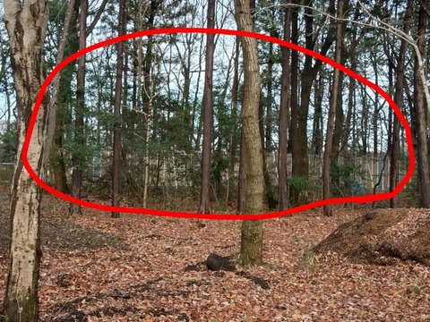 20251225_095957~2_copy_800x600