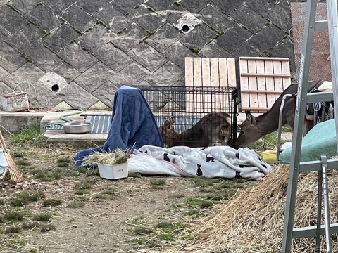 1677495759807_copy_800x600