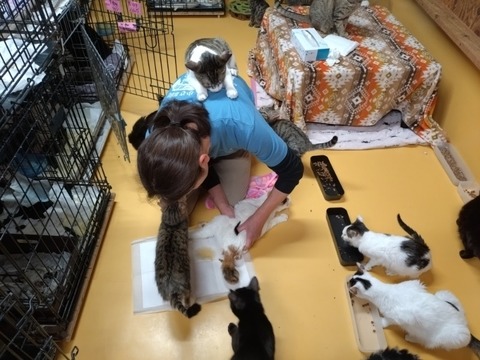 20260304_080118_copy_800x600