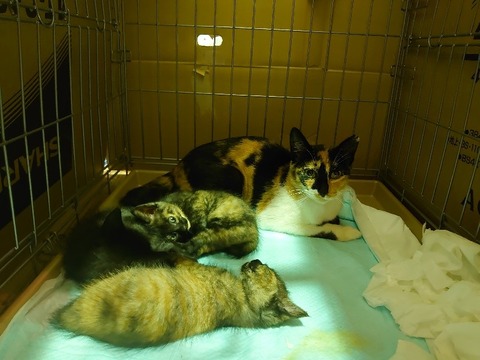 DSC_1638_copy_800x600