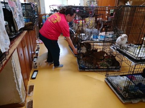 20230301_083803_copy_800x600