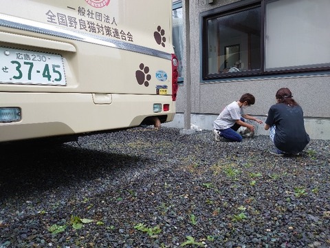 DSC_0336_copy_800x600