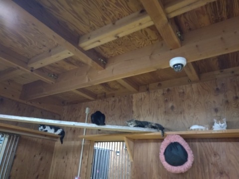 20260116_192327_copy_800x600