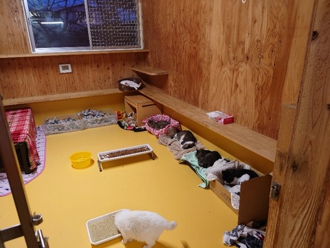 20221223_164503_copy_800x600