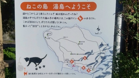 1544932415927-800x450