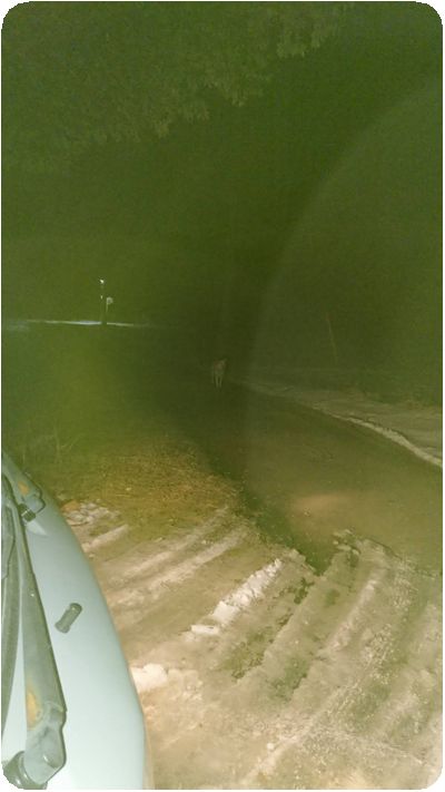1517008962292