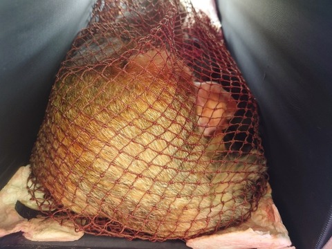 20230405_072110_copy_800x600