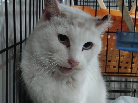 20260124_142620_copy_816x612