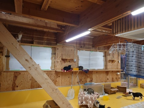 20221223_164454_copy_800x600