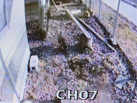 20260103_080651~2_copy_816x612