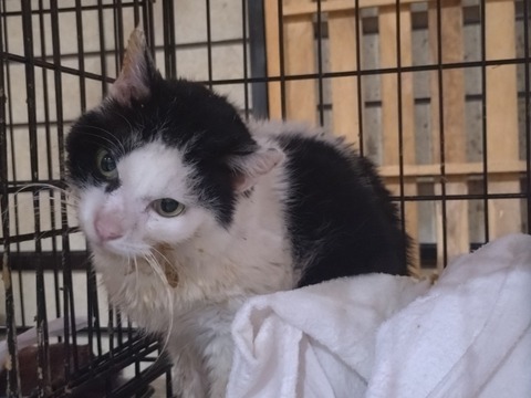 20260221_202750_copy_800x600