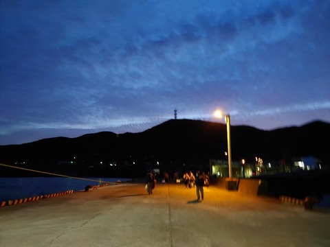 20230405_045753_copy_800x600